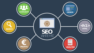 Blockchain SEO Optimasi Website