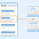 Belajar Menerapkan Kesalahan dan Cara Memperbaiki Keyword Cannibalization